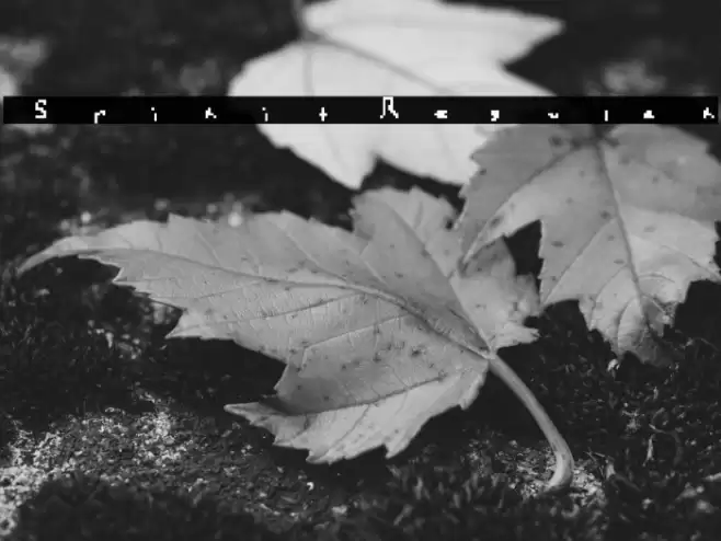 Spirit Regular Font examples