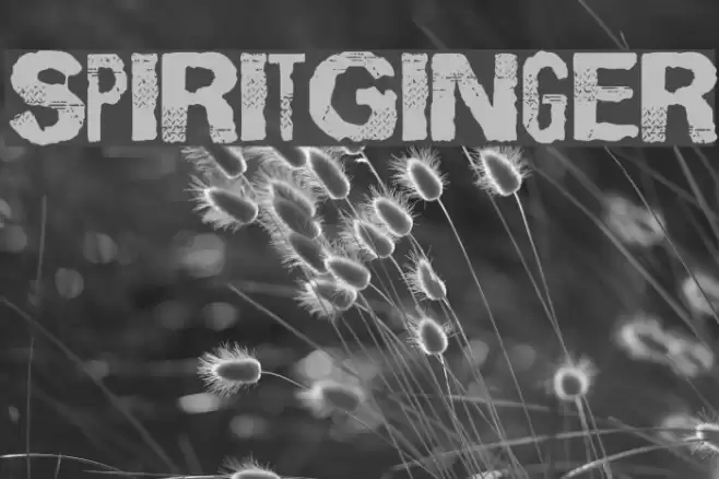 SpiritGinger Caratteri examples