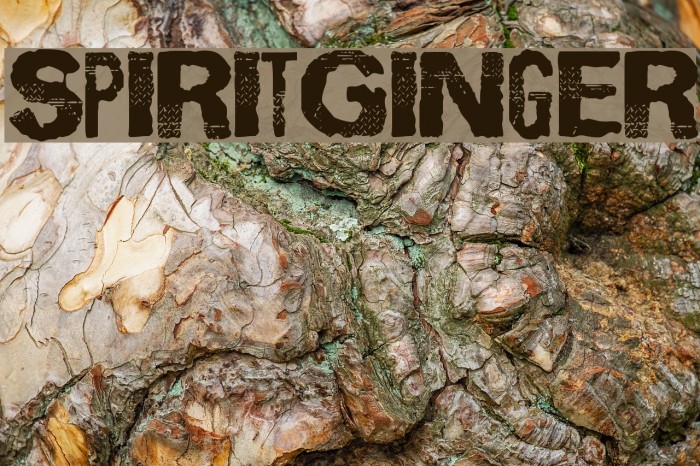 SpiritGinger Font examples