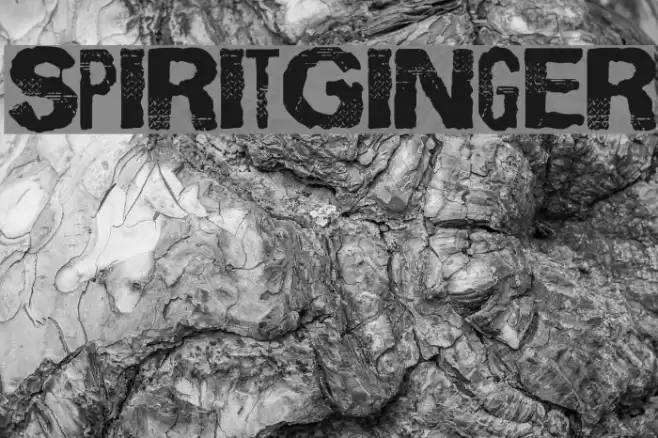 SpiritGinger Caratteri examples