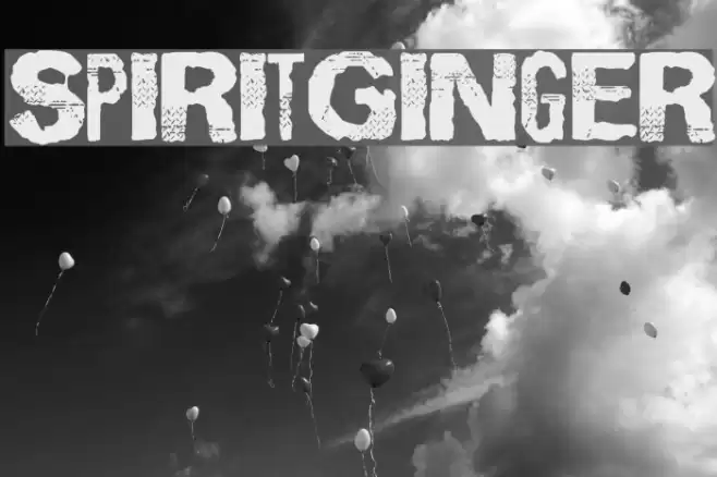 SpiritGinger Caratteri examples