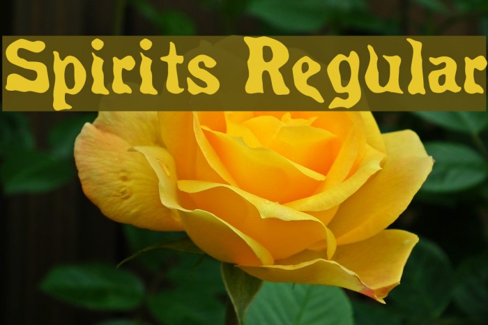 Spirits Regular لخطوط تنزيل examples