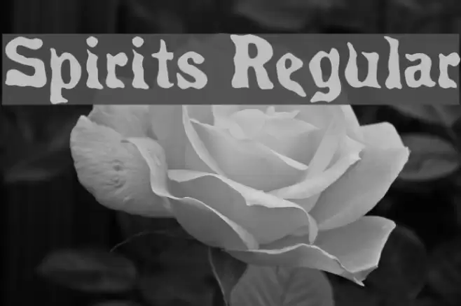 Spirits Regular Font examples