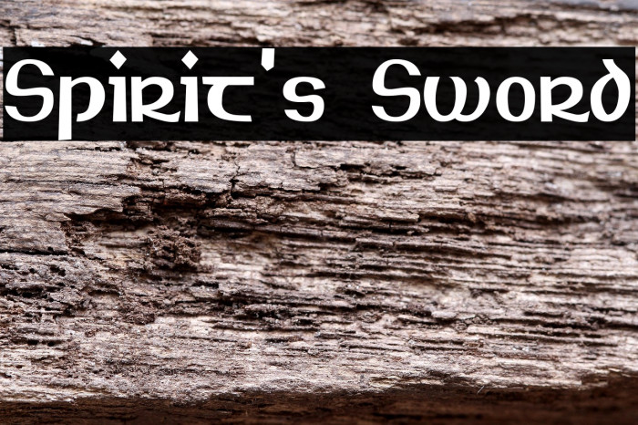 Spirit's Sword Example 3