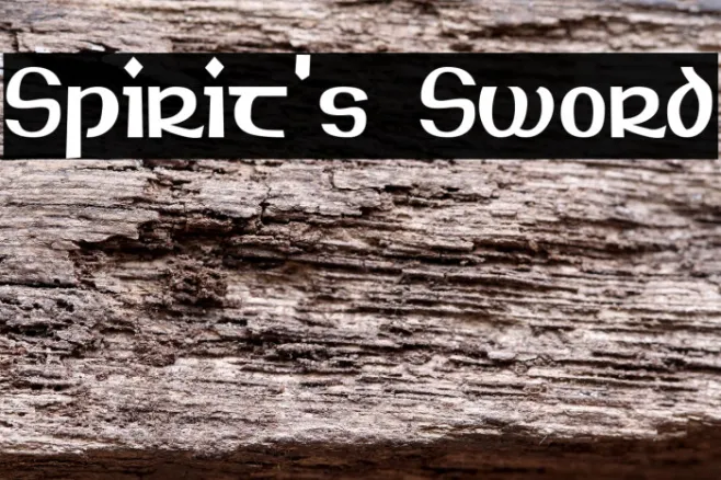 Spirit's Sword Example 3