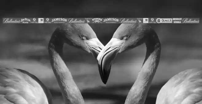 Spiritsdotsdrinks Font examples