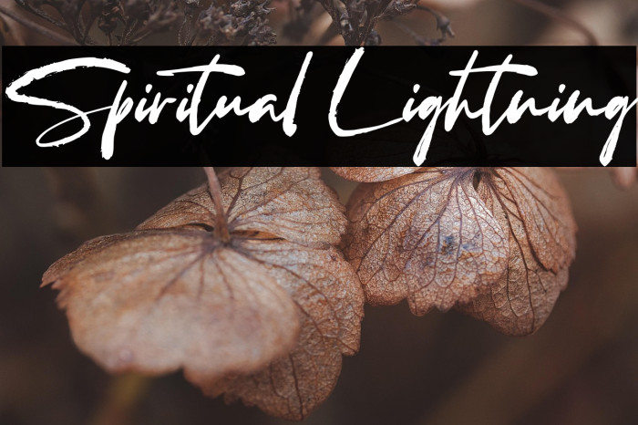 Spiritual Lightning Example 2