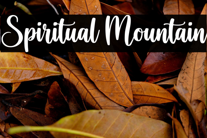 Spiritual Mountain Example 1
