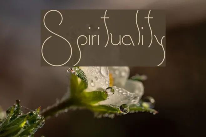 Spirituality Example 2