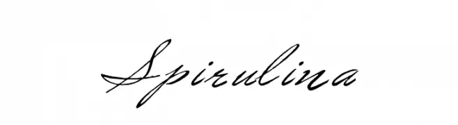 Spirulina  Free Fonts Download