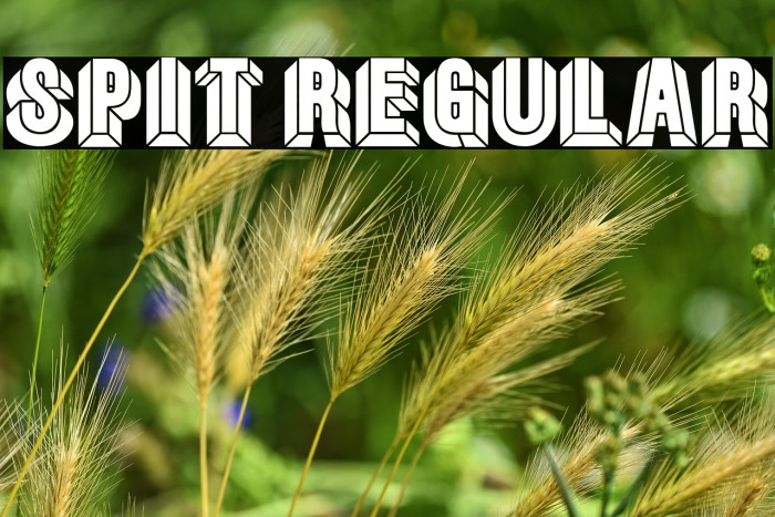 Spit Regular Example 1