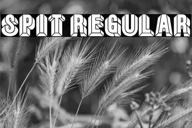 Spit Regular Font examples