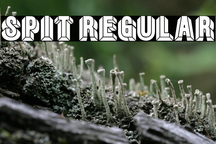 Spit Regular Example 2