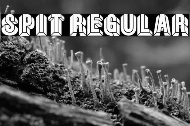 Spit Regular Font examples