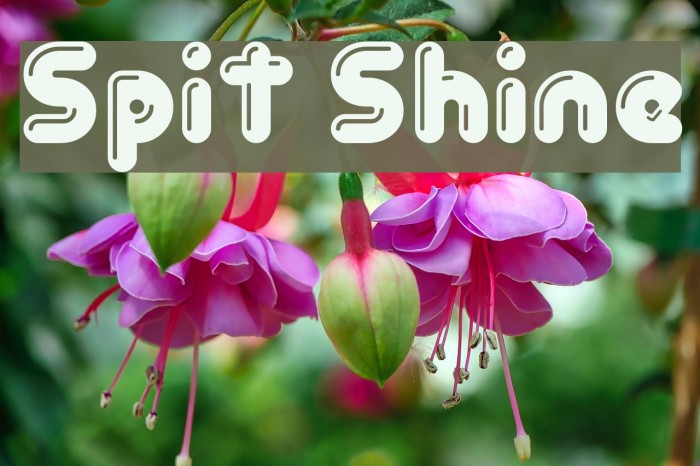 Spit Shine Example 1