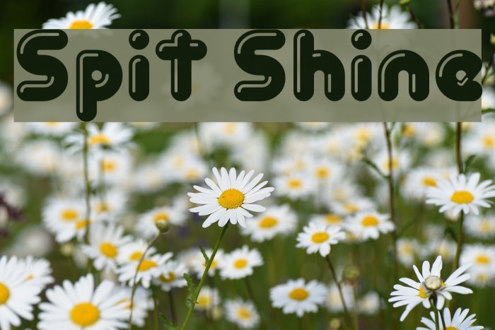 Spit Shine Example 3