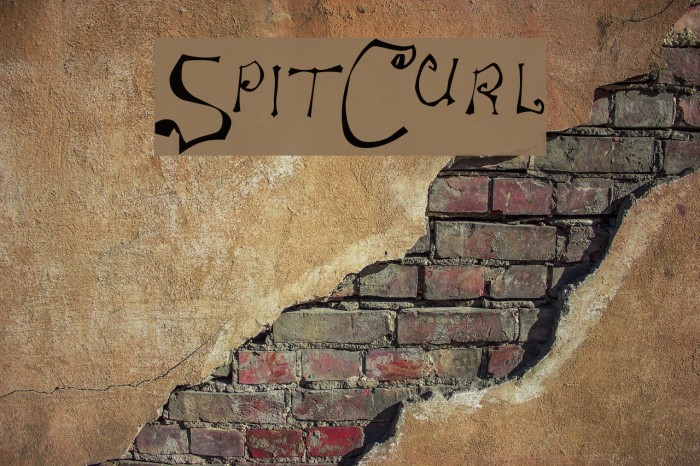 SpitCurl Font examples