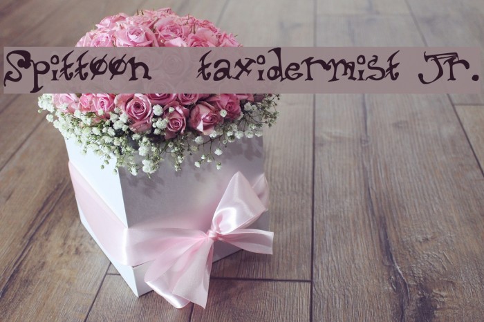 Spittoon  taxidermist jr. Example 1