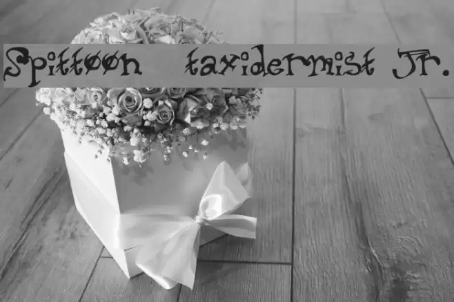 Spittoon taxidermist jr. Font examples