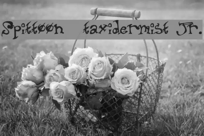 Spittoon taxidermist jr. Font examples