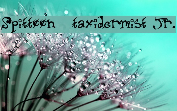 Spittoon  taxidermist jr. Example 3