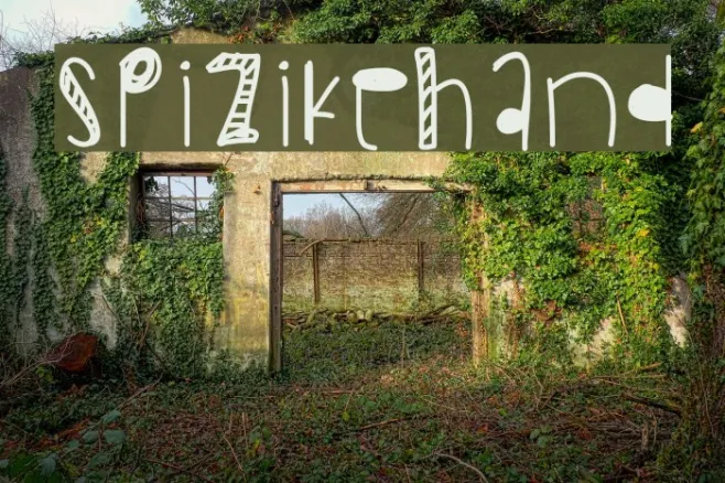 SpizikeHand Example 1