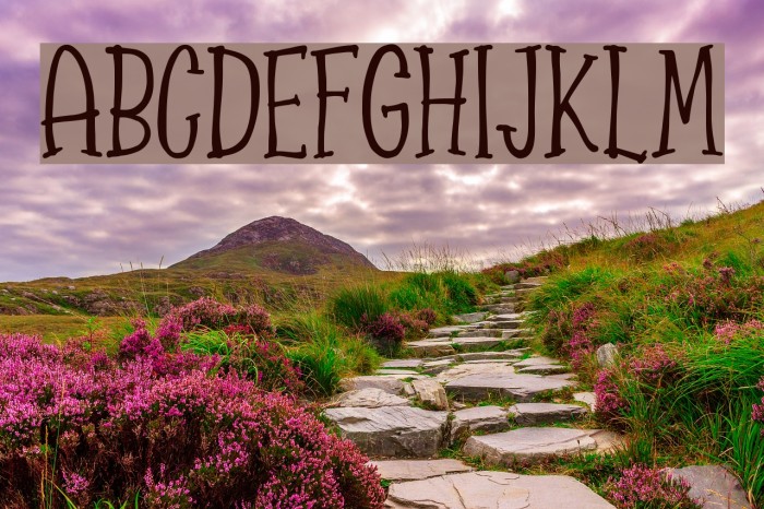 SpizzellaFree Font examples