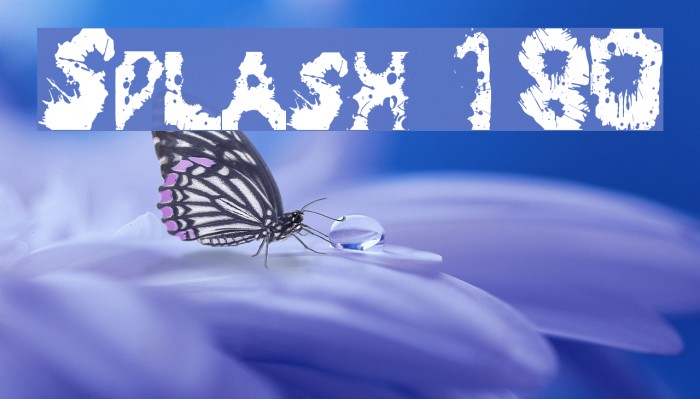 Splash 180 Font examples