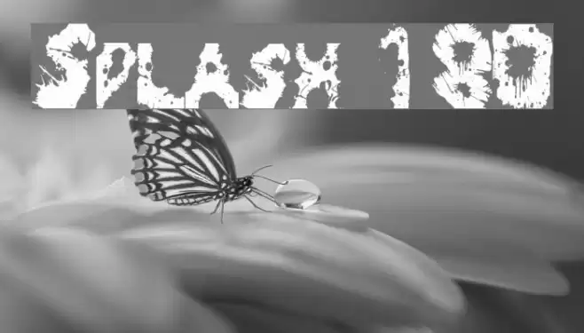 Splash 180 Schriftart examples
