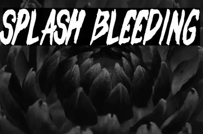 Splash Bleeding Font examples