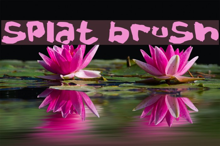 Splat Brush Font examples