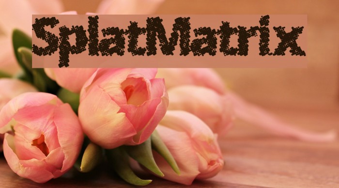 SplatMatrix Font examples