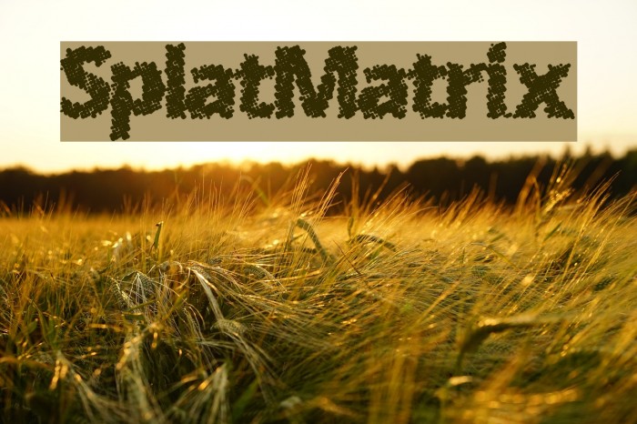 SplatMatrix Font examples