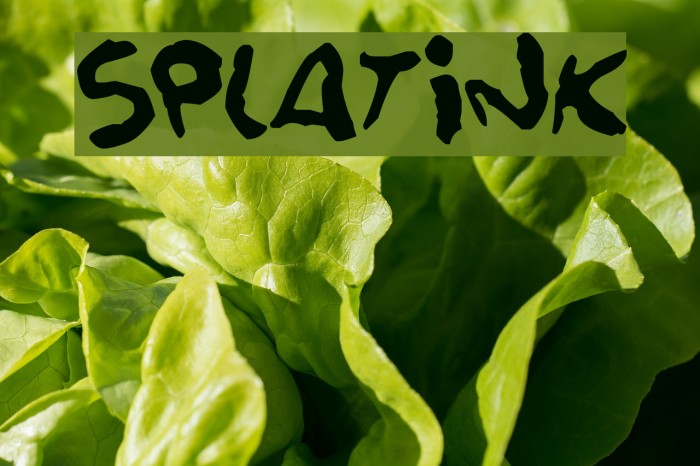 Splatink Font examples