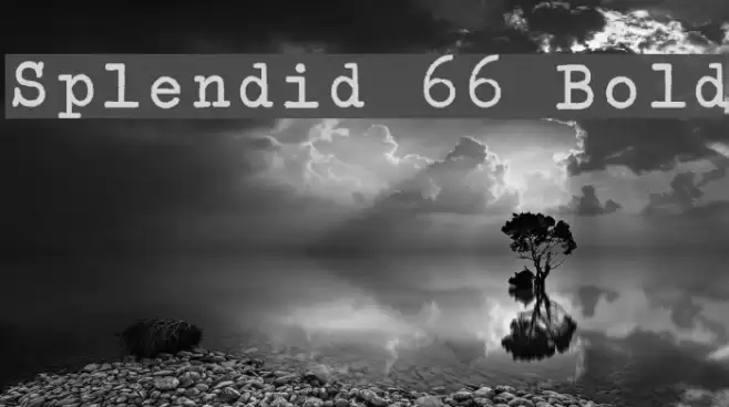 Splendid 66 Bold Font examples