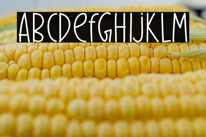 Splendid Moment Example 3