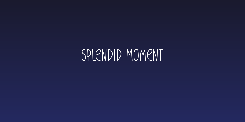 Splendid Moment Social Header