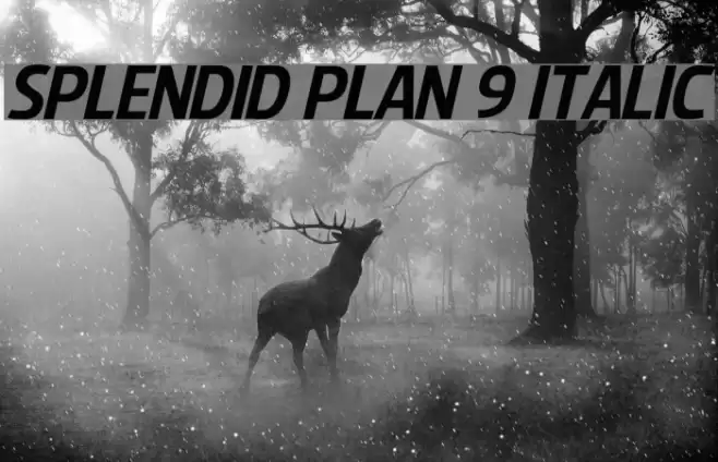 Splendid Plan 9 Italic フォント examples