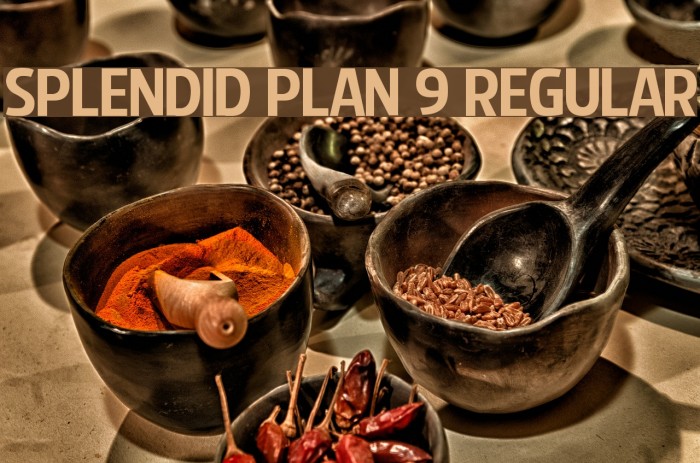 Splendid Plan 9 Regular Font examples