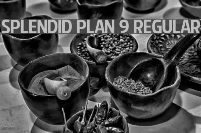 Splendid Plan 9 Regular Font examples