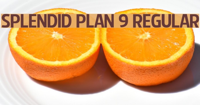 Splendid Plan 9 Regular Font examples
