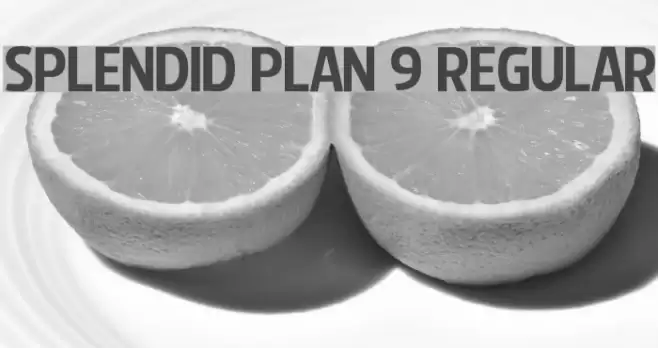 Splendid Plan 9 Regular Font examples