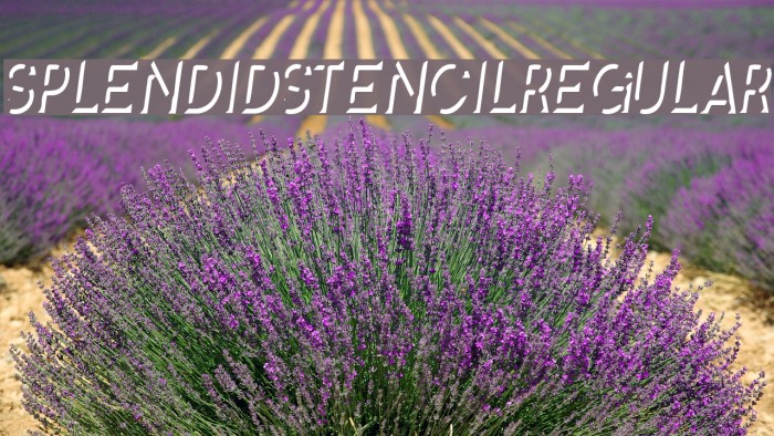 SplendidStencil-Regular Font examples