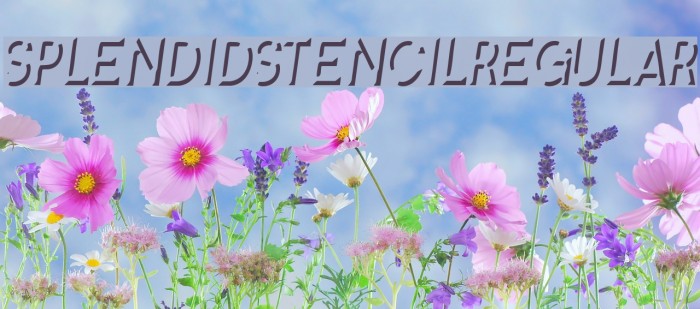 SplendidStencil-Regular Font examples