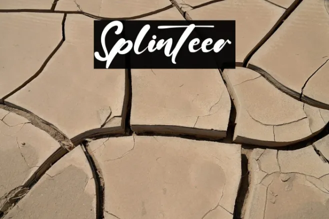 Splinteer Example 1