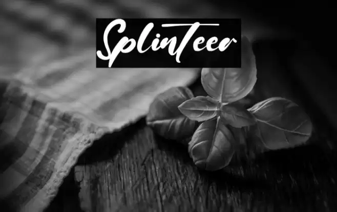 Splinteer Font examples