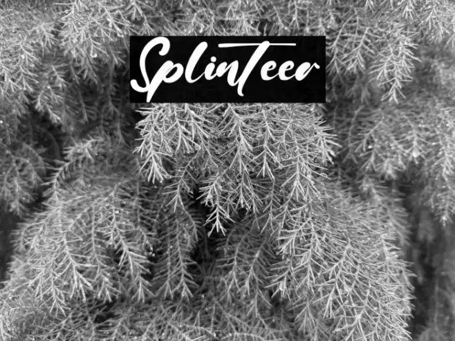 Splinteer Font examples