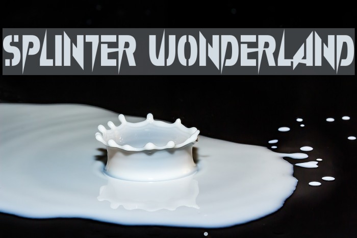 Splinter Wonderland Font examples