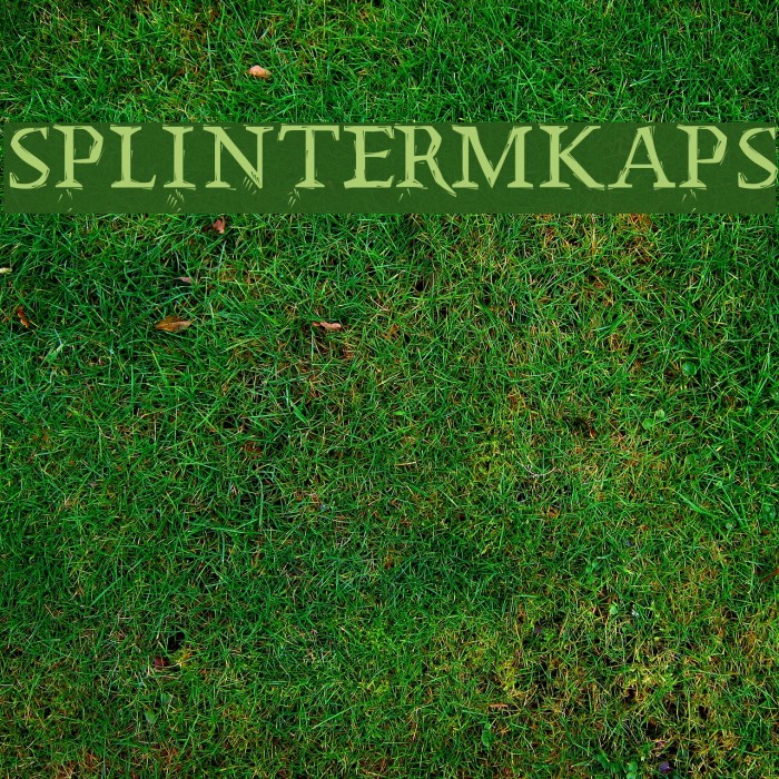 SplinterMKaps Font examples