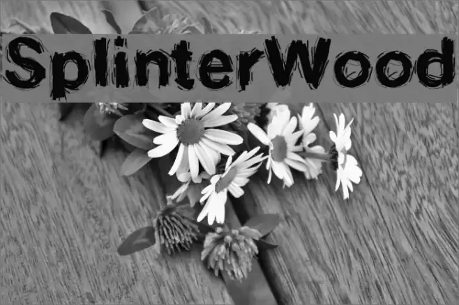 SplinterWood Font examples